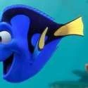 Liste der Suche nach Nemo-Charakteren