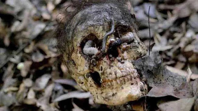 Die Produktion und Veröffentlichung von „Cannibal Holocaust“ war genauso hässlich wie der Film selbst