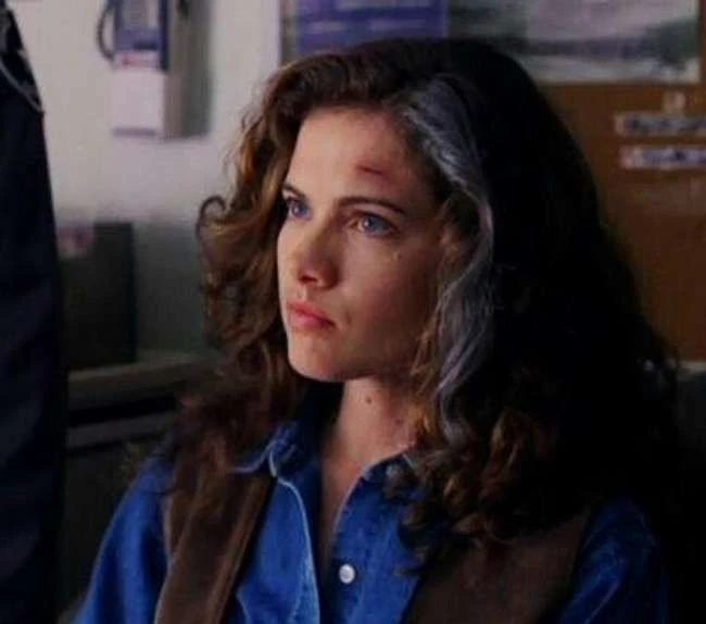Heather Langenkamp ist eine Horrorlegende, aber sie ist viel mehr als ihre 'Albtraum in der Elm Street'-Rolle