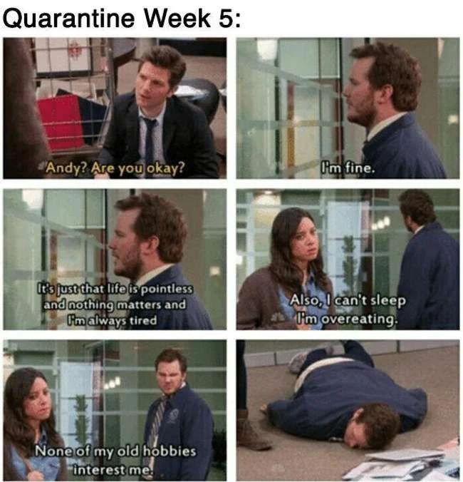 33 'Parks and Recreation' Memes, die sich Quarantäne in Pawnee vorstellen