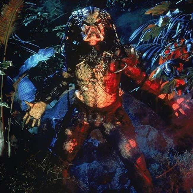 Ich habe keine Zeit, die besten 'Predator'-Zitate zu lesen