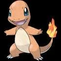 Das beste Starter-Pokémon