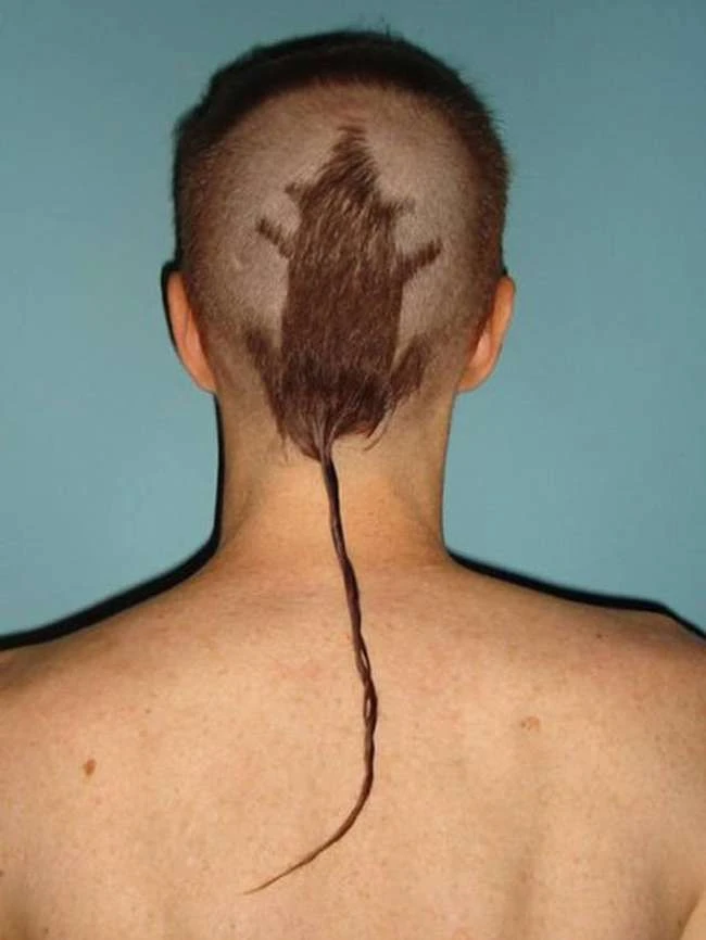 50 Frisuren, die diese Leute für immer bereuen werden
