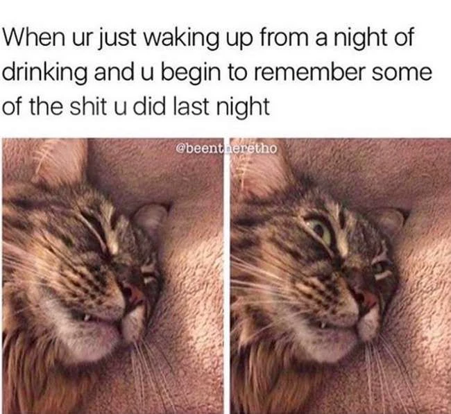 Lustige Memes über das Trinken, mit denen Sie sich auf einer tiefen Ebene identifizieren können
