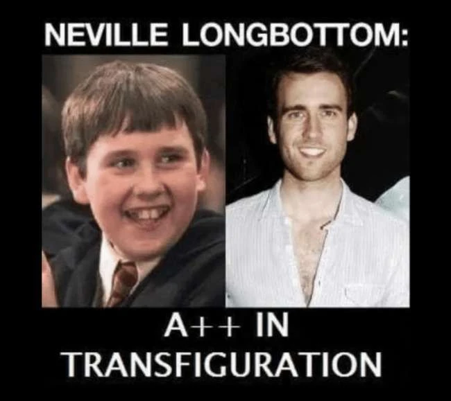 18 Neville Longbottom Memes, die beweisen, dass er tatsächlich der Auserwählte ist