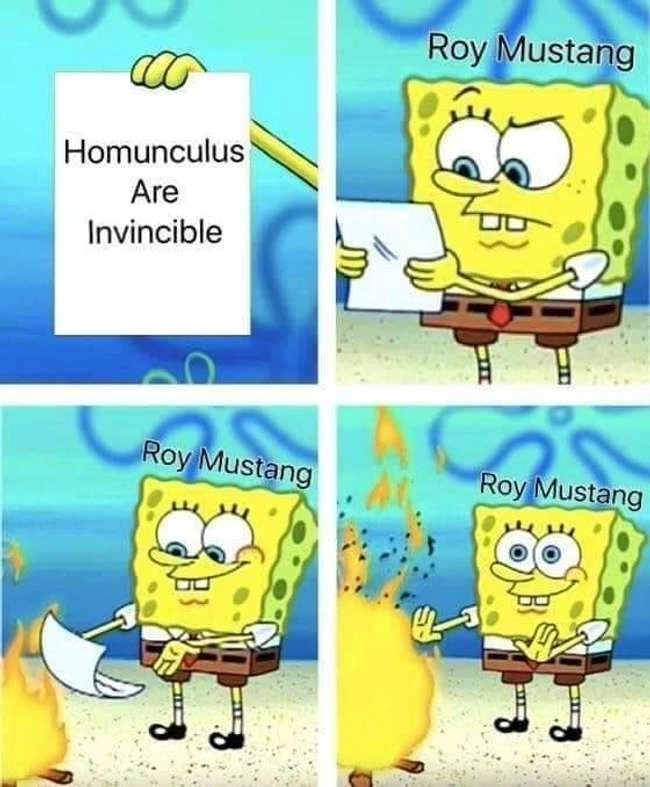25 zufällige Fullmetal Alchemist Memes, über die wir viel zu viel gelacht haben