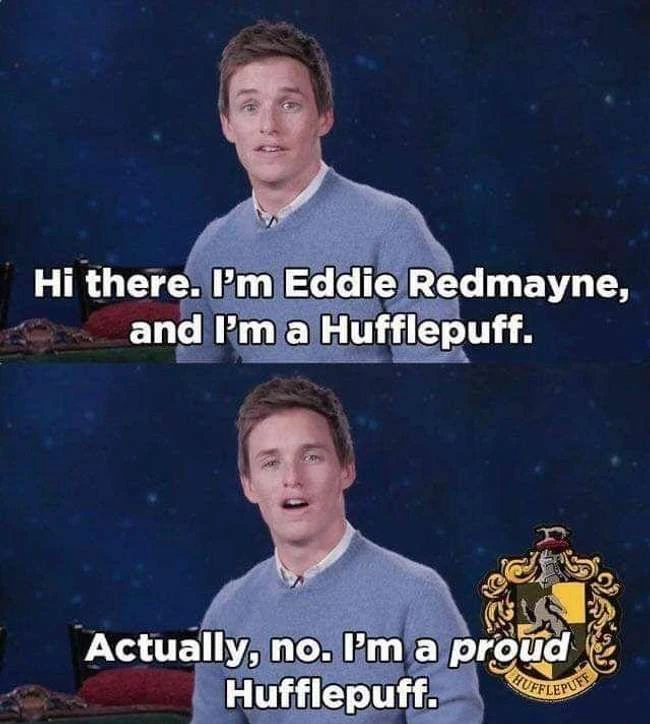 22 Harry Potter Meme für den stolzen Hufflepuff