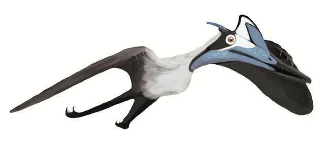 12 berühmte prähistorische Tiere, von denen Sie überrascht sein werden, dass sie keine Dinosaurier sind