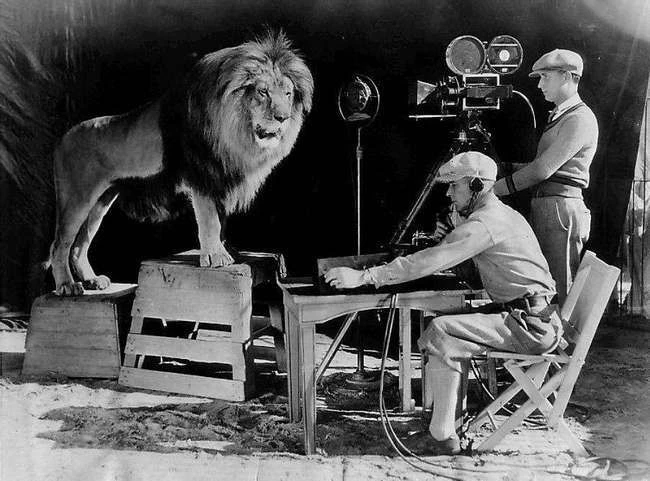 Die surreale Geschichte der MGM Lions
