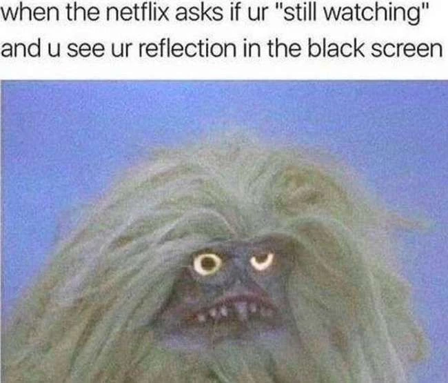 Unglaublich deprimierende Memes, wenn Netflix fragt, ob du noch schaust