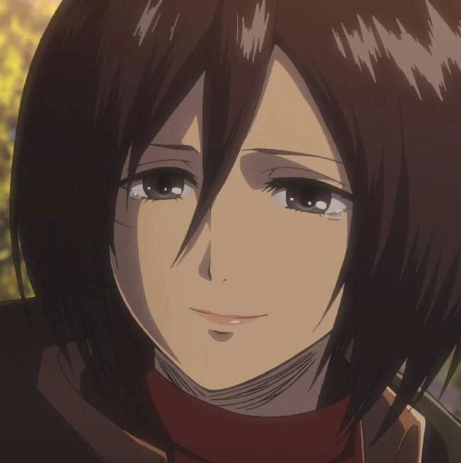 Die besten Zitate von Mikasa Ackerman
