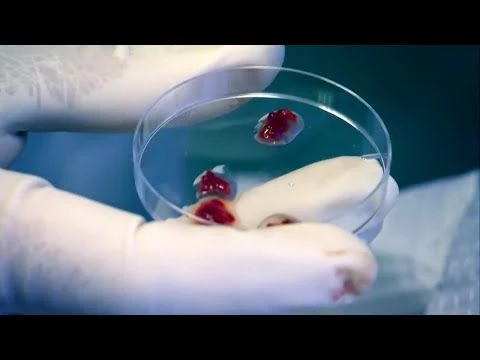 Kannibalen beschreiben, wie menschliches Fleisch schmeckt