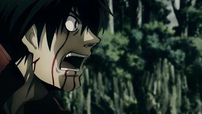 Die 13 besten Animes wie Hellsing