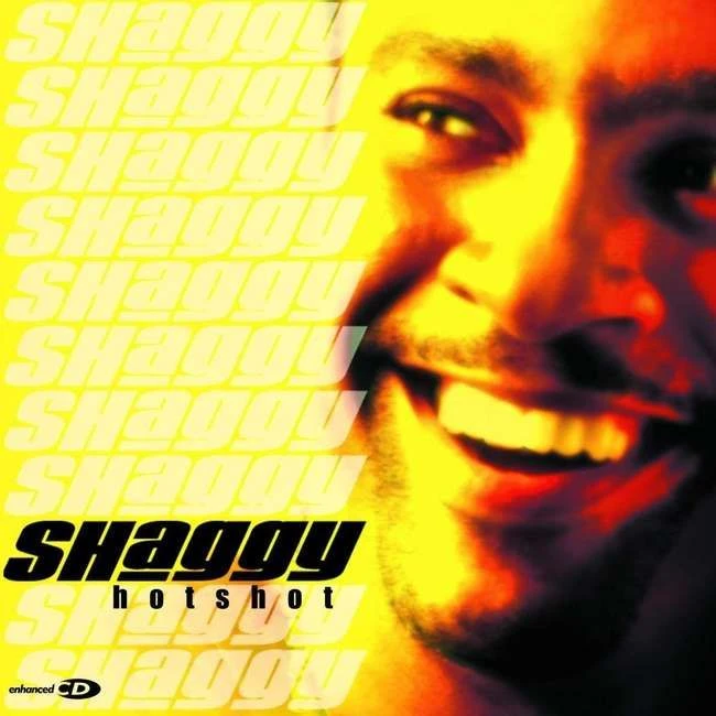 Die besten Shaggy-Alben, Rangliste