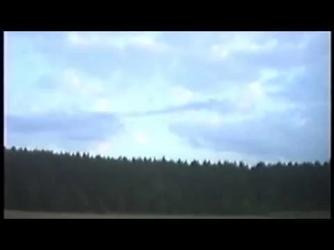 Die besten Freak Folk Bands/Künstler
