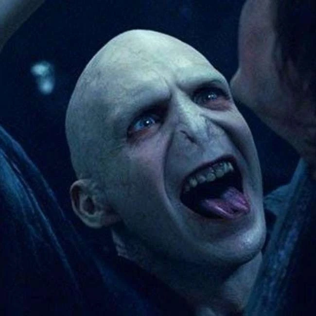 Die besten Voldemort-Zitate
