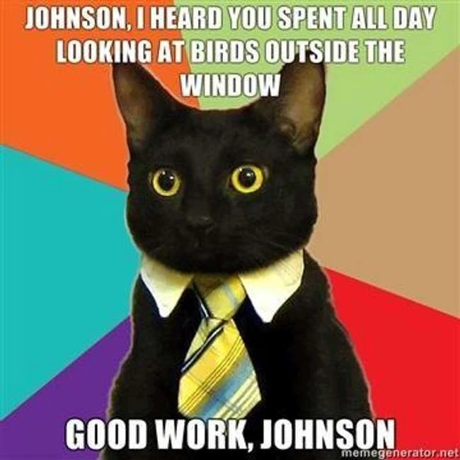 Das absolut Beste aus dem Business Cat Meme