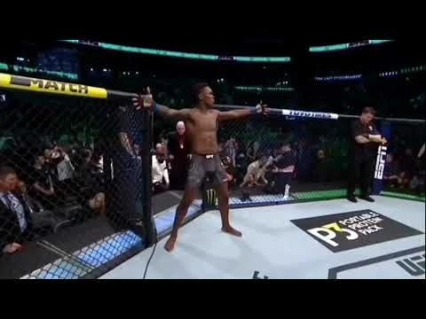 Die besten UFC-Kämpfe von 2019