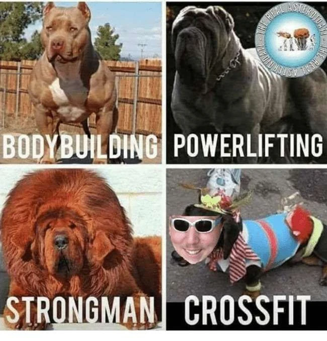 19 urkomische Memes über Crossfit, die es genau richtig machen