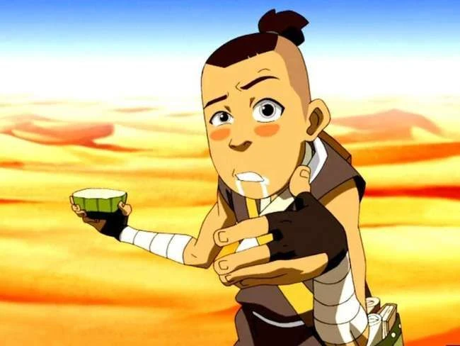 Die besten Sokka-Zitate aus 'Avatar: The Last Airbender'