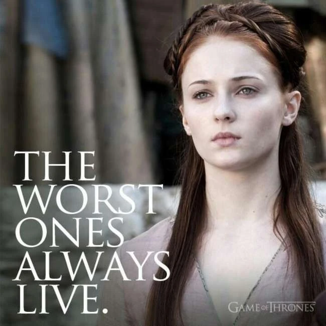 Die besten Sansa Stark-Zitate