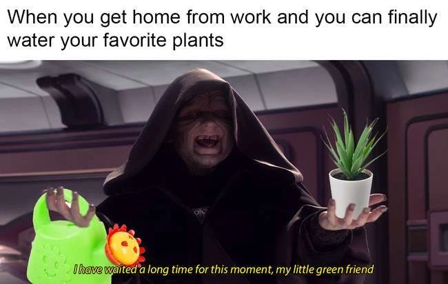 18 gesunde Palpatine-Meme, die beweisen, dass das Imperium nichts falsch gemacht hat