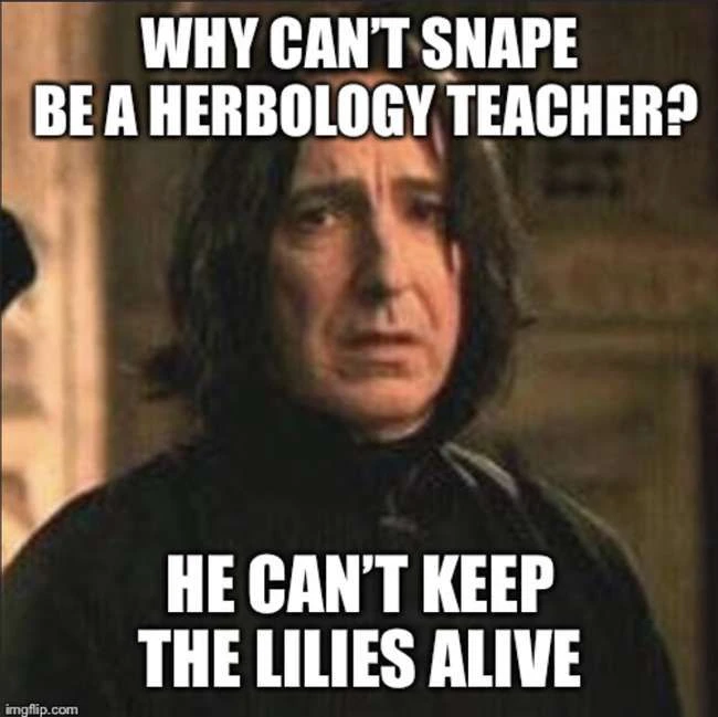 25 Snape-Memes, die grausamer sind als 'Avada Kedavra'